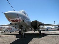 Click image for larger version. 

Name:	F 14 Tomcat.jpg 
Views:	63 
Size:	13.0 KB 
ID:	30071